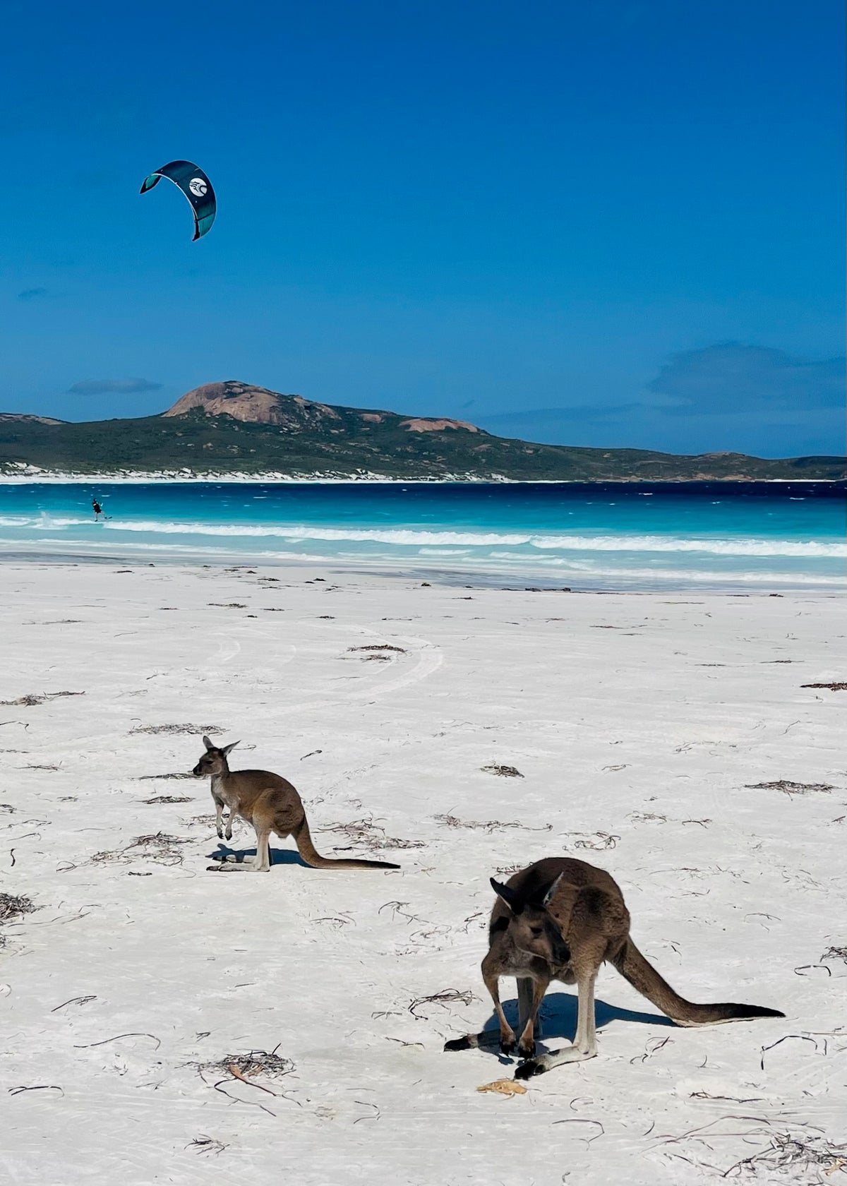 South Australia