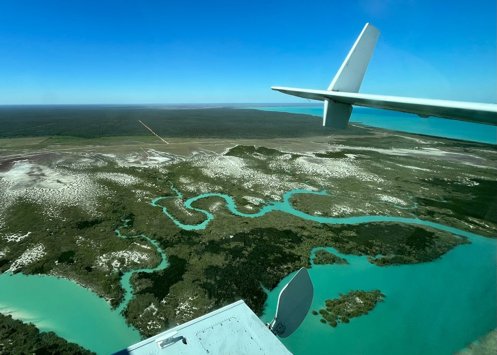 Australian landscape