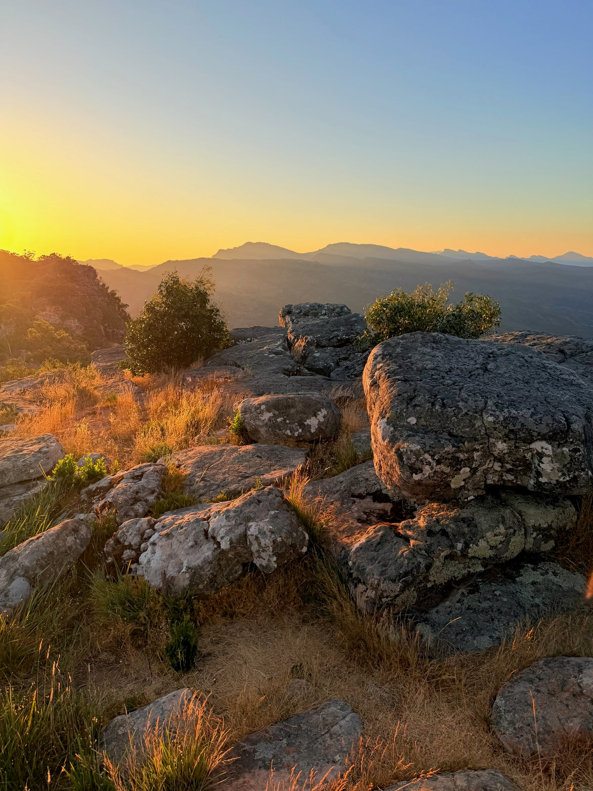 New South Wales