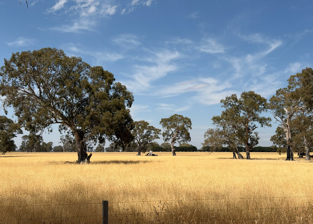 Tasmania
