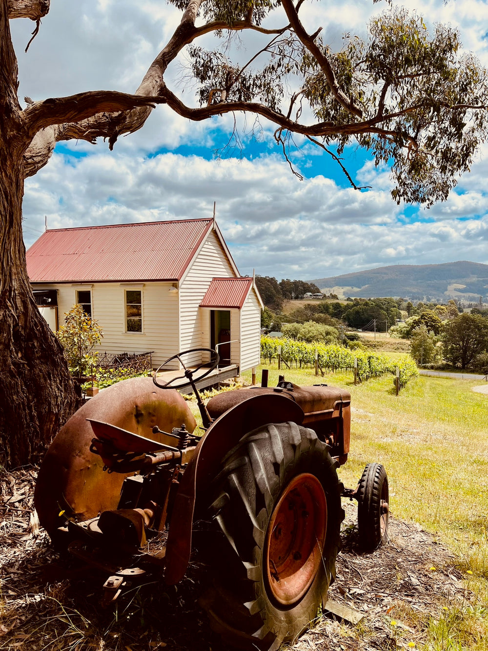 Tasmania
