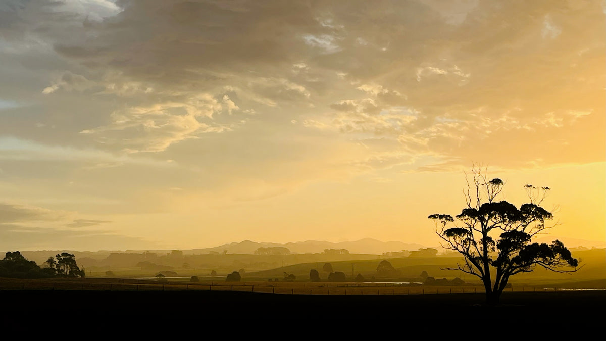 Tasmania